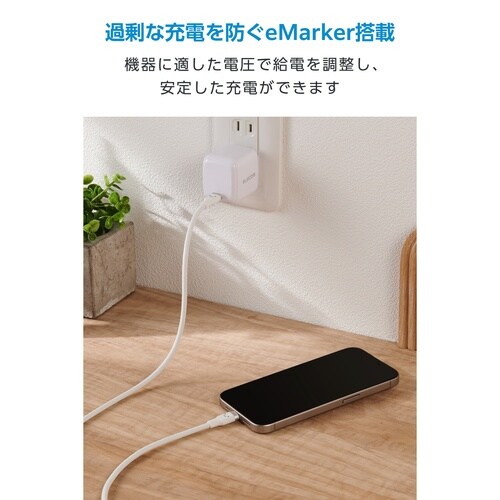 USB−Cケーブル PD100W 1m 白黒