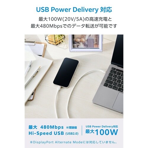 USB−Cケーブル PD100W 1m 白黒