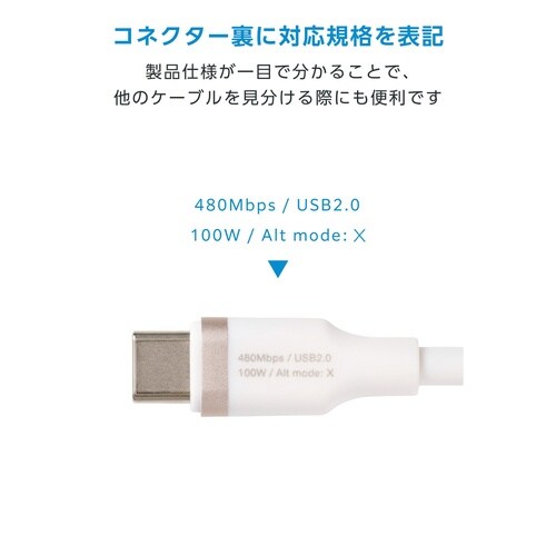 USB−Cケーブル PD100W 1m 白黒