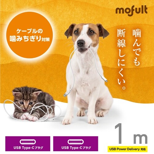 mofult CtoCケーブル PD60W