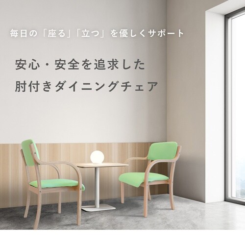 ダイニングチェアシエル完成品BL2脚セット