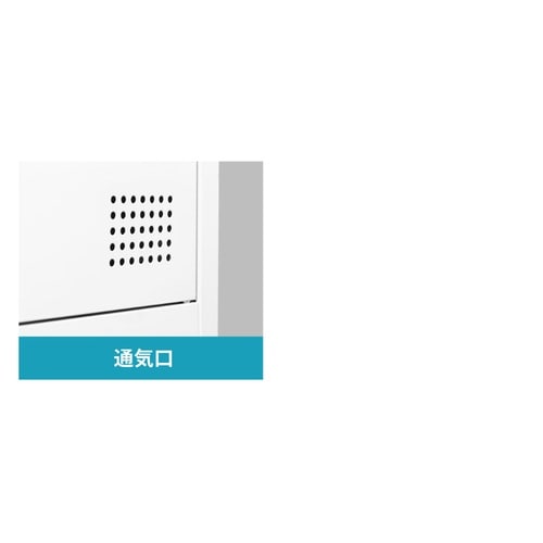 3人用スリムロッカー 木目 本体:BK 扉:DBR