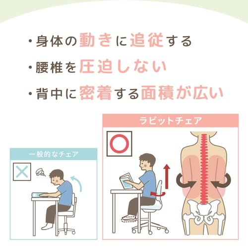 ラビットチェア 肘付 足置付 WHフレーム BL