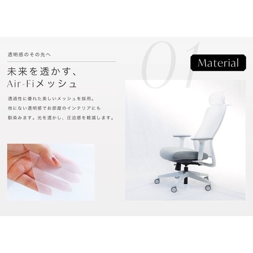 シースルーチェア肘・ヘッドレスト付RD
