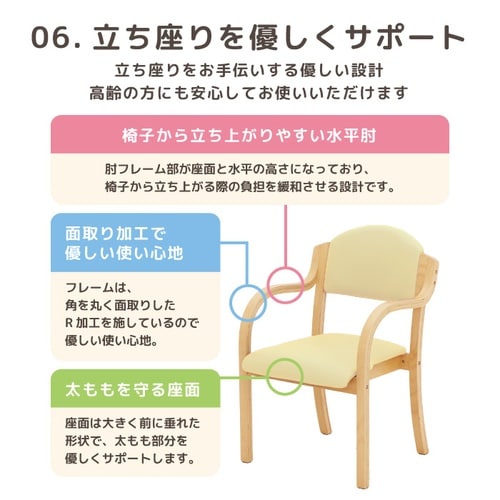 ダイニングチェアエトワール完成品BL2脚セット