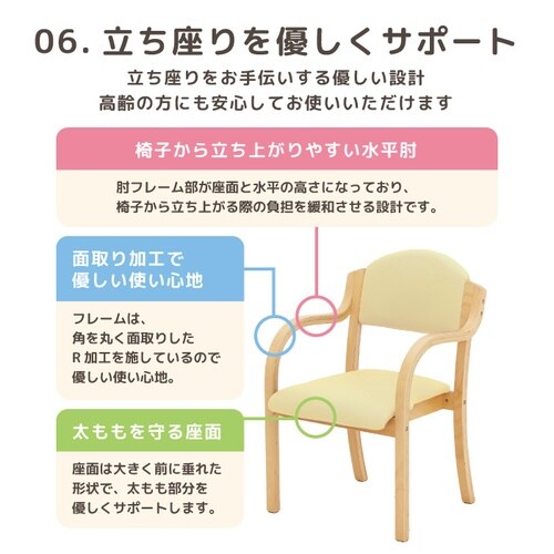 ダイニングチェアエトワール完成品GN2脚セット