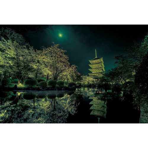 パズル 月夜に咲く(京都)