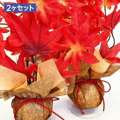 もみじボールラッピングセット