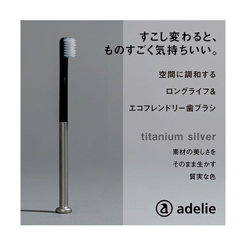 歯ブラシ(ハンドル1本+替え歯ブラシ1個