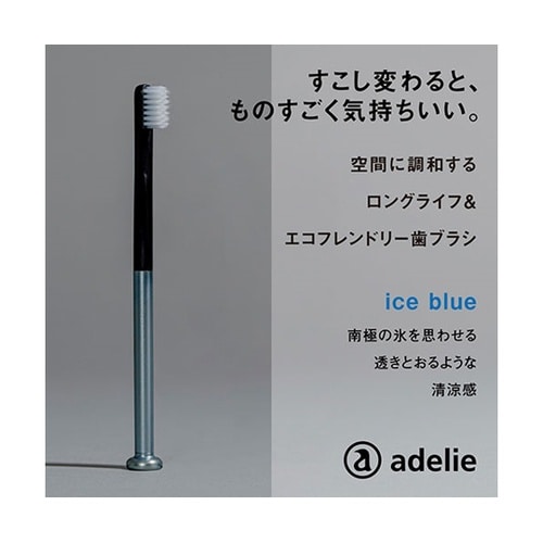 歯ブラシ(ハンドル1本+替え歯ブラシ1個