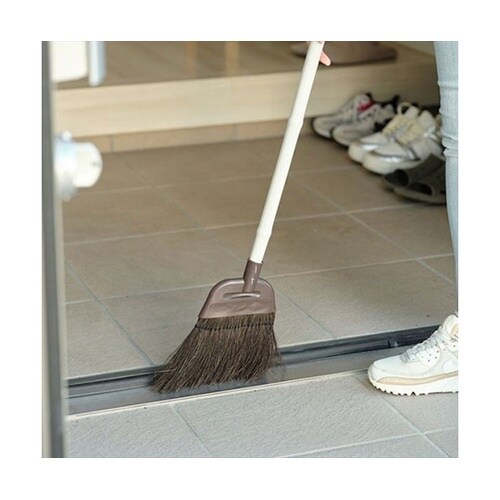 【5本セット】 Daily Clean