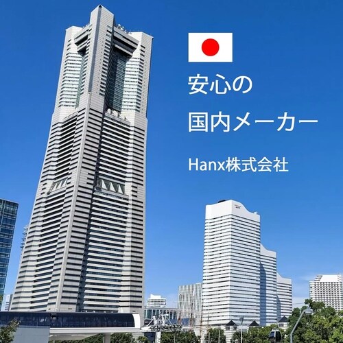 Hanx USBC DP1.2 変換アダプタ