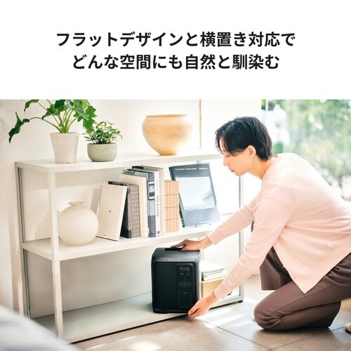 EcoFlow DELTA 3 1000 Air