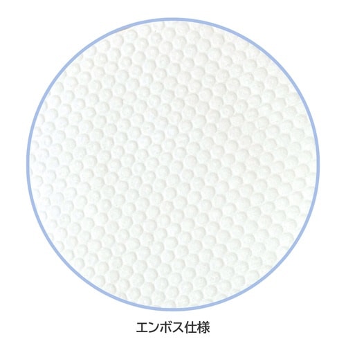 高吸収不織布ワイプ ワイプロン Z70