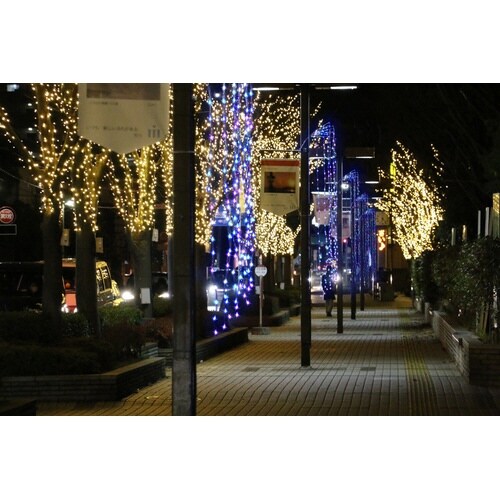 LEDウィロウブランチライト(ブルー) 6個入