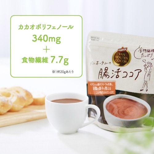 【機能性表示食品】バンホーテンの腸活ココア160g