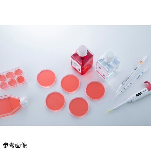 ブフナーロート付き吸引ろ過瓶 100mL