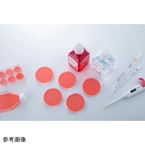 ブフナーロート付き吸引ろ過瓶 200mL