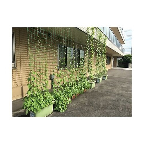 つるもの園芸ネット 緑 10cm角目 幅