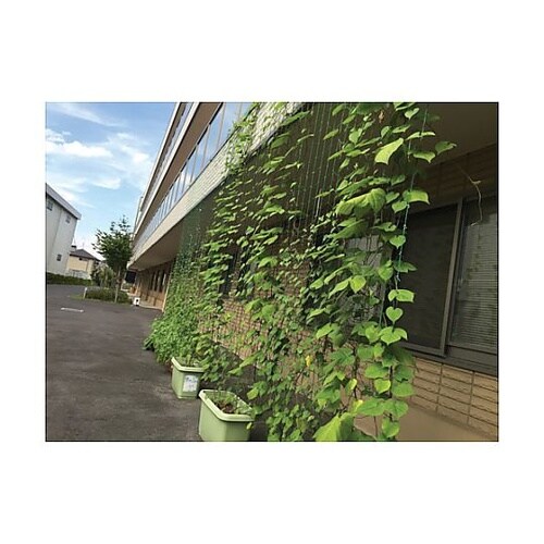 つるもの園芸ネット 緑 10cm角目 幅