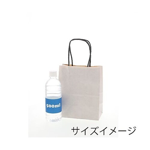 003271120 手提げ紙袋