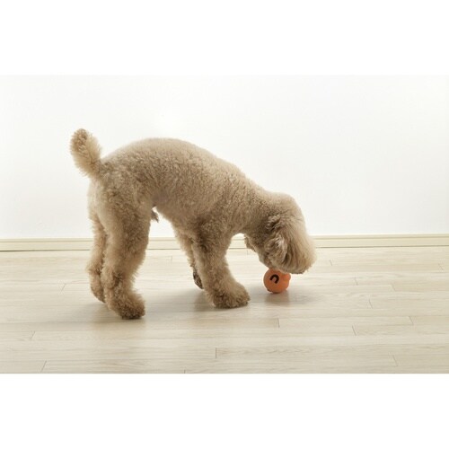 知遊玩具 犬用 グルー グルちゃん S
