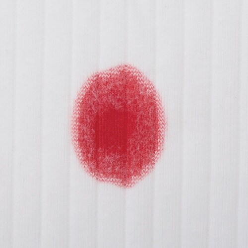 洗濯の職人 わたしに寄り添う血液用洗剤 90g