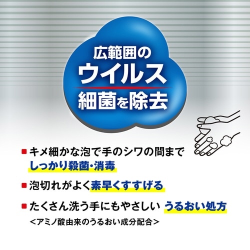 ハンドラボ 薬用泡ハンドソープ 本体 300mL