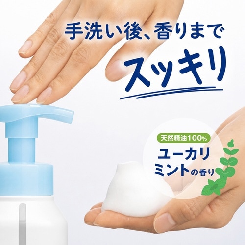 ハンドラボ 薬用泡ハンドソープ 本体 300mL