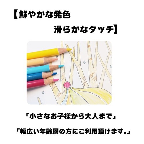 缶入り色鉛筆 12色 IS−CP12×10