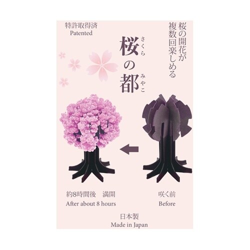 桜の都 1セット(10個入)