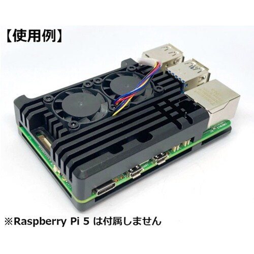 Raspberry Pi 5用 デュアル
