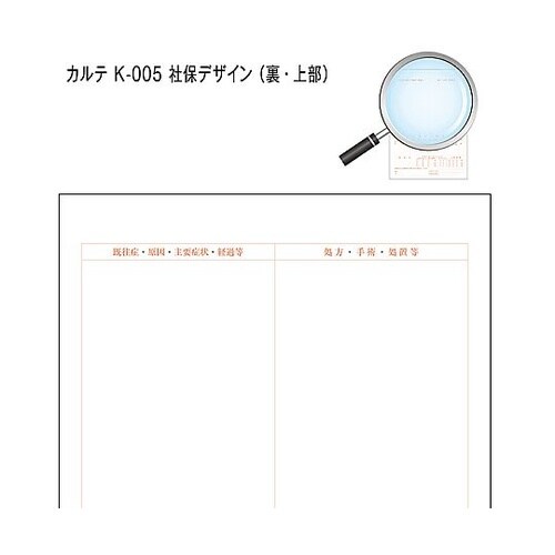 カルテ1号 B5 90kg 社保 k−0