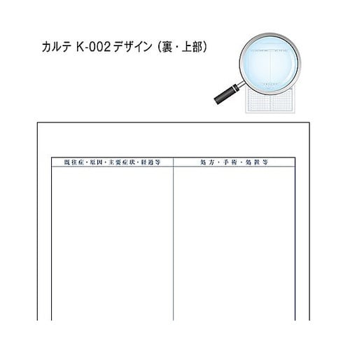 カルテ1号 B5 90kg 国保 k−0