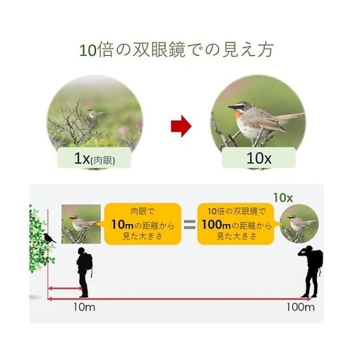 3640C001防振双眼鏡10×20IS