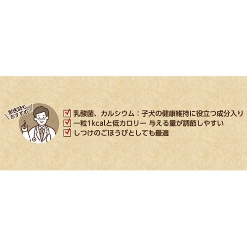 HappyDays パピーボーロ 乳酸菌