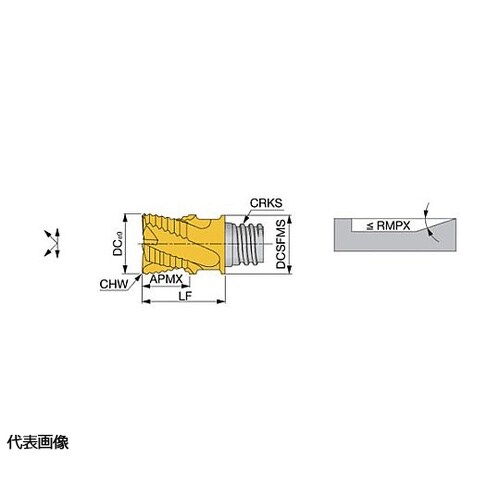 タング・マイスター用ヘッド スクエアタイ