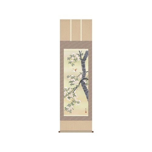 掛軸「桜花に小鳥」 長江桂舟 筆 K10