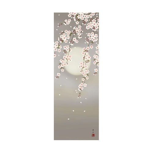 掛軸 「夜桜」 緒方葉水 筆 K1066