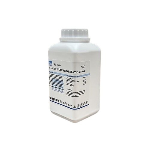 酵母ペプトン 800C(500g) 21