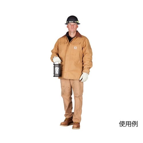 200−400 ポータブルLED灯光器
