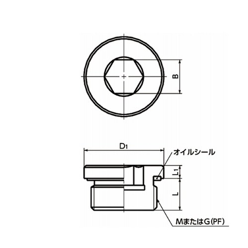 ネジコム(プラグ) フランジ付き六角穴付