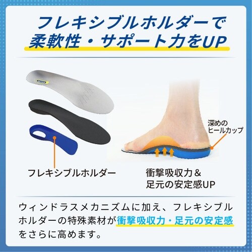 SIGMAX 中敷 メディエイド アシストインソー