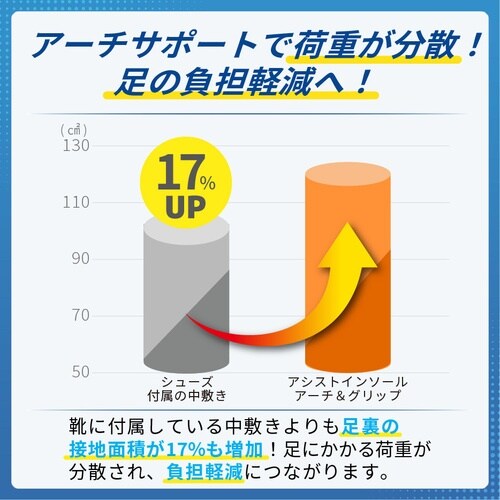 SIGMAX 中敷 メディエイド アシストインソー