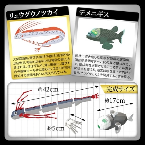 リュウグウノツカイデメニギス