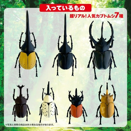立体甲虫図鑑世界のカブトムシ