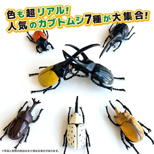 立体甲虫図鑑世界のカブトムシ
