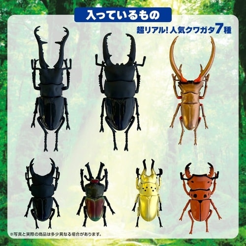 立体甲虫図鑑世界のクワガタ