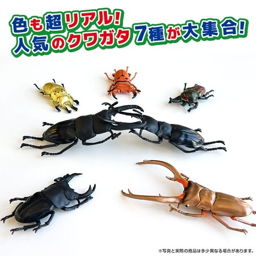 立体甲虫図鑑世界のクワガタ