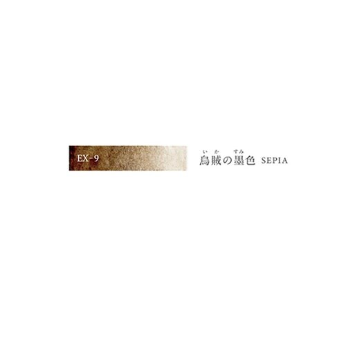 水彩色鉛筆色辞典EX9烏賊(いか)の墨色×6